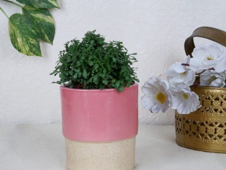 Handcrafted Ceramic Planter Pot | Plant Not Included Cheap