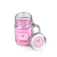 Fragrances Mason Jar Candle |  310Gm |  Burn Time 40Hrs For Cheap