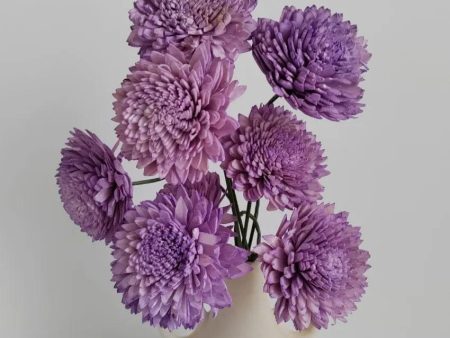 Lavender Zinnia Sholapith DIY Flower Bunch | Vase Not Included | 8 Flower Heads Supply