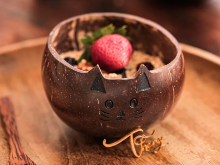 Animal Design Brown Coconut Shell Cat Bowl | 4 x 4 x 3 inches Online Hot Sale