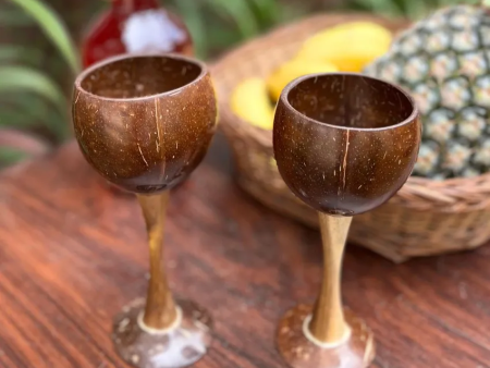 Stylish Brown Coconut Shell Wine Glasses & Wood | Set of 2 Pcs | 3 x 2 x 6 inches Cheap