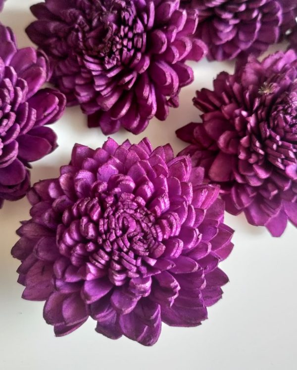 Dark Purple Zinnia Sholapith DIY Flower Bunch | Vase Not Included | 8 Flower Heads Sale