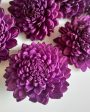 Dark Purple Zinnia Sholapith DIY Flower Bunch | Vase Not Included | 8 Flower Heads Sale