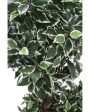 Ficus Topiary Artificial Plant With Black Plastic Pot | 5 Feet Supply