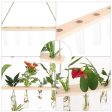 2 Tier Wall Hanging With 10 Test Tube Planters on Sale