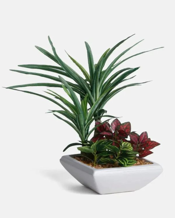 Araceae Assorted Leaf Artificial Bonsai Plant with Ceramic Pot | 1 feet Online now