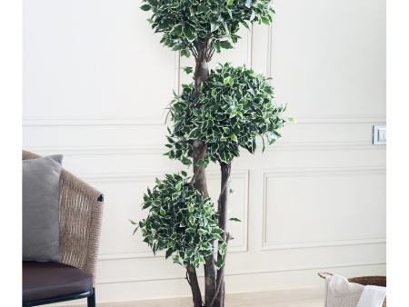 Ficus Topiary Artificial Plant With Black Plastic Pot | 5 Feet Supply