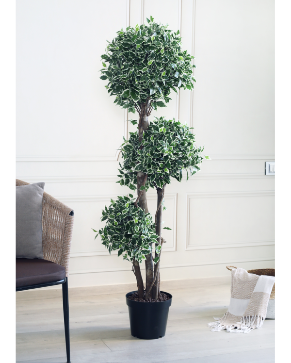 Ficus Topiary Artificial Plant With Black Plastic Pot | 5 Feet Supply