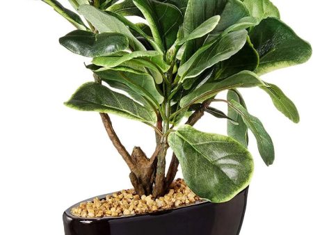 Fiddle Leaf Artificial Bonsai Plant with Ceramic Pot | 11 inches Online Sale