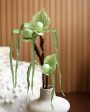 Artificial Paphiopedilum Orchid Flowers | 2.5 feet | Vase Not Included Cheap