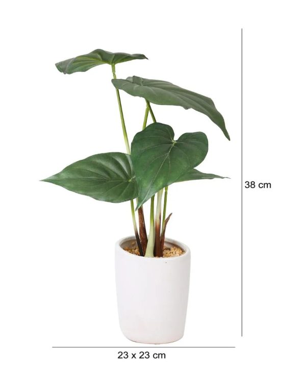 Alocasia Artificial Bonsai Plant with Ceramic Pot | 1.3 feet Cheap