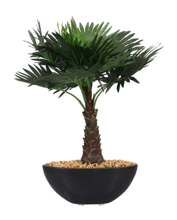 Bismarckia Artificial Bonsai Plant with Ceramic Pot | 1 feet Fashion