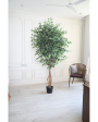 Tall Fiscus Artificial Plant With Black Plastic Pot | 7 Feet Sale