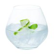 Bohemia Amoroso Stemless Glass Clear Lead Free Crystal Wineware | Set of 2 | 440ml Fashion