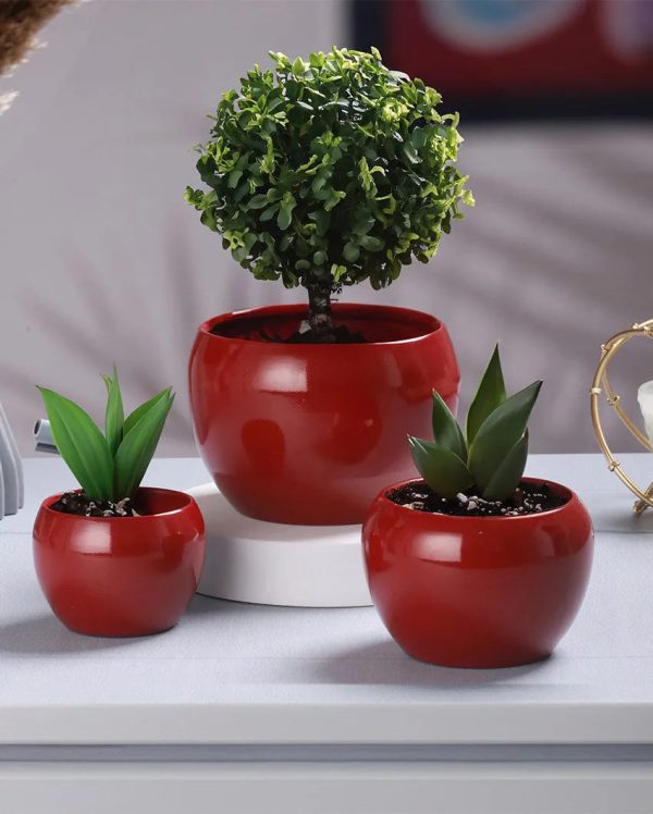 Sunshine Solid Metal Tabletop Planters | Set of 3 For Discount