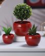 Sunshine Solid Metal Tabletop Planters | Set of 3 For Discount