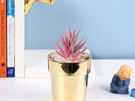 Understated Succulents Artificial Plant with Ceramic Pot | 7 inches Online now