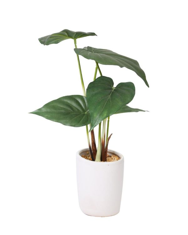 Alocasia Artificial Bonsai Plant with Ceramic Pot | 1.3 feet Cheap