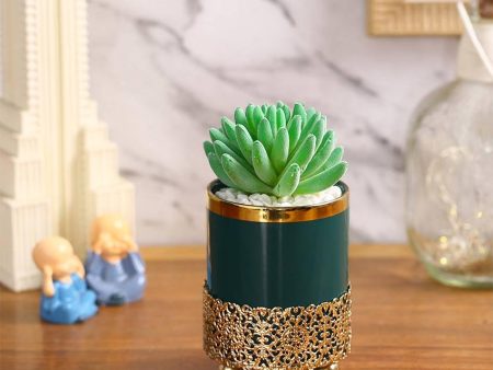 Eclectic Succulents Artificial Plant with Ceramic Pot & Metal stand | 6 inches Fashion