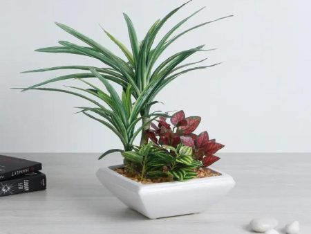 Araceae Assorted Leaf Artificial Bonsai Plant with Ceramic Pot | 1 feet Online now