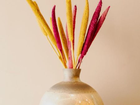 Bazra Mini Dual Shade Dried Flower Sticks | Set Of 10 |1.25 feet| Vase Not Included Online