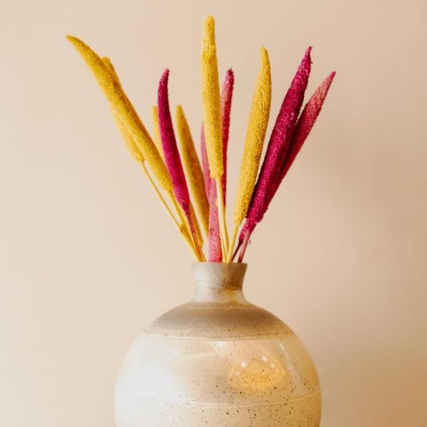 Bazra Mini Dual Shade Dried Flower Sticks | Set Of 10 |1.25 feet| Vase Not Included Online