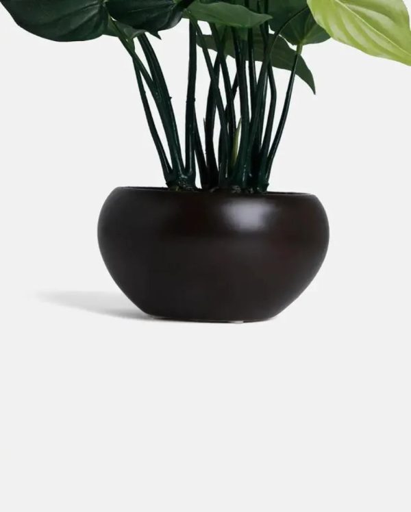 Alocasia Artificial Bonsai Plant with Ceramic Pot | 1.25 feet For Discount