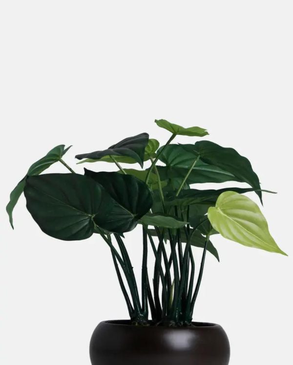 Alocasia Artificial Bonsai Plant with Ceramic Pot | 1.25 feet For Discount