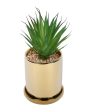 Artisanal Succulents Artificial Plant with Ceramic Pot & Coaster | 7 inches Online now