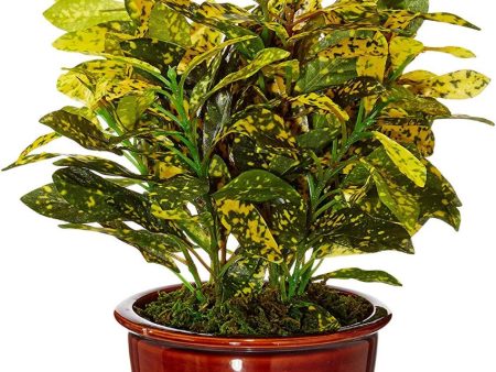 Croton Artificial Bonsai Plant with Ceramic Pot | 11 inches For Discount