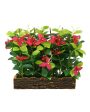 Bougainvillea Artificial Bonsai Plant with Polyurethane Pot | 11 inches Sale