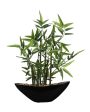 Bamboo Artificial Bonsai Plant With Ceramic Pot | 1 feet , 1.25 feet For Sale