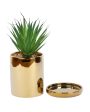 Artisanal Succulents Artificial Plant with Ceramic Pot & Coaster | 7 inches Online now