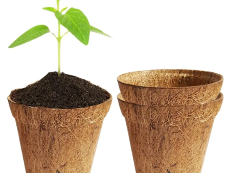 Brown Coir Pots Biodegradable Garden Nursery Cups | Set of 3 | 4 x 4 inches Online Hot Sale