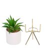 Downtown Succulents Artificial Plant with Ceramic Pot & Metal Tripod Stand | 10 inches Cheap