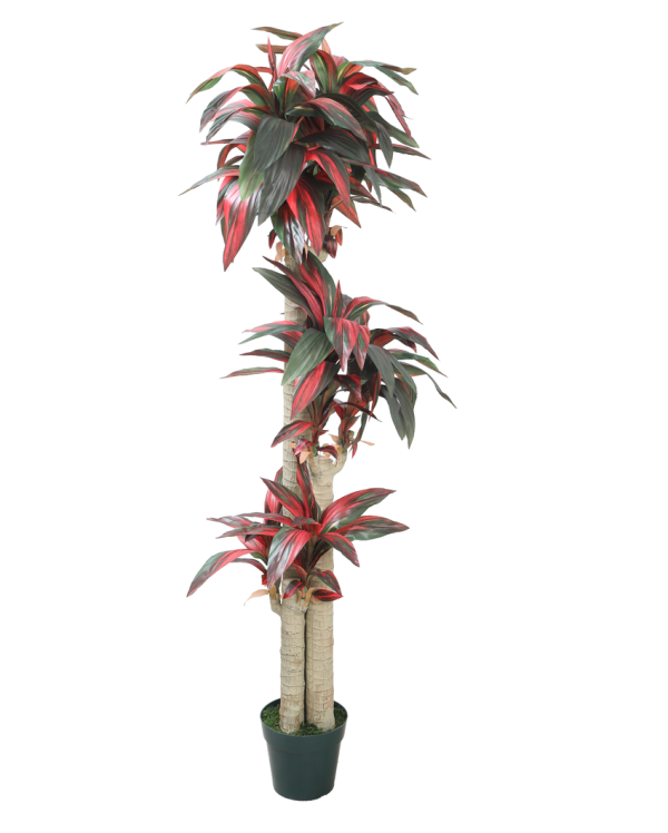 Cordylinex Artificial Plant With Black Plastic Pot | 6 Feet For Discount