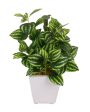 Brotes Wandering Jew Artificial Bonsai Plant with Ceramic Pot | 7 inches Discount