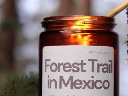 Forest Trail in Mexico Glass Jar Scented Candle | 8.89 x 7.62 cm   3.5 x 3 inches Online