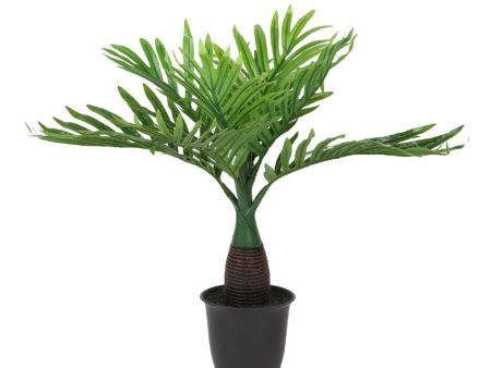 Bottle Palm Artificial Bonsai Plant with Plastic Pot | 1.5 feet Online Hot Sale