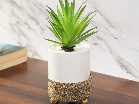 Quaint Succulents Artificial Plant with Ceramic Pot & Metal stand | 8 inches Online Sale