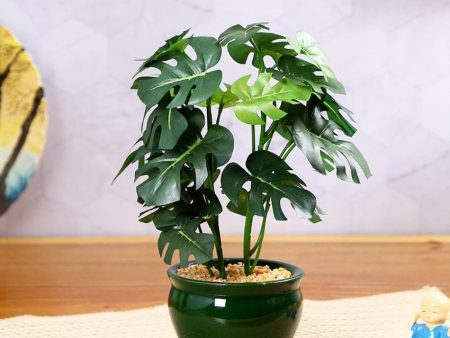 Philodendron Artificial Bonsai Plant with Ceramic Pot | 11 inches Online