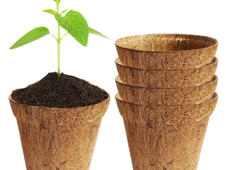 Brown Coir Biodegradable Garden Nursery Coco Natural Cup Pots | Set of 5 | 4 x 4 inches Online Sale