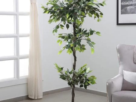 Artificial Green Real Touch Ficus Plant With Black Pot | 6 feet Online Sale