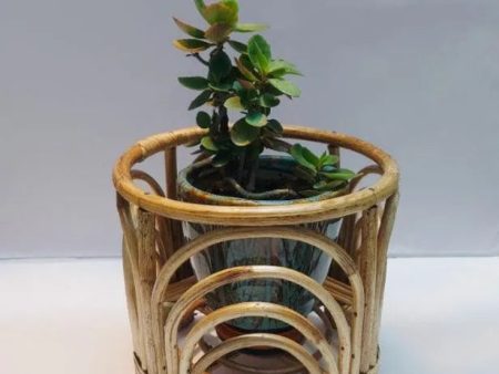 Concentrix Bamboo Planter | Brown | Plant Not Included For Sale