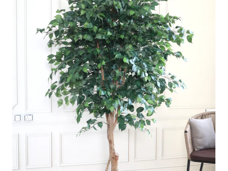 Decor Ficus Artificial Plant With Black Plastic Pot | 7 Feet on Sale