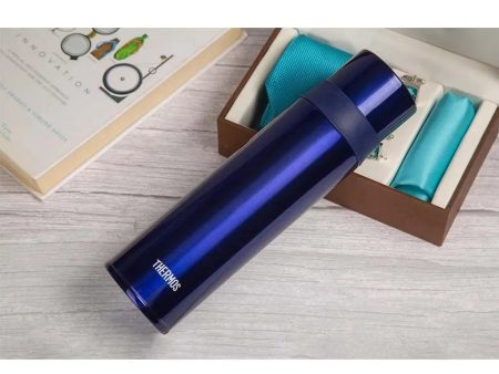 Blerry Stainless Steel Flask | 500ml For Cheap