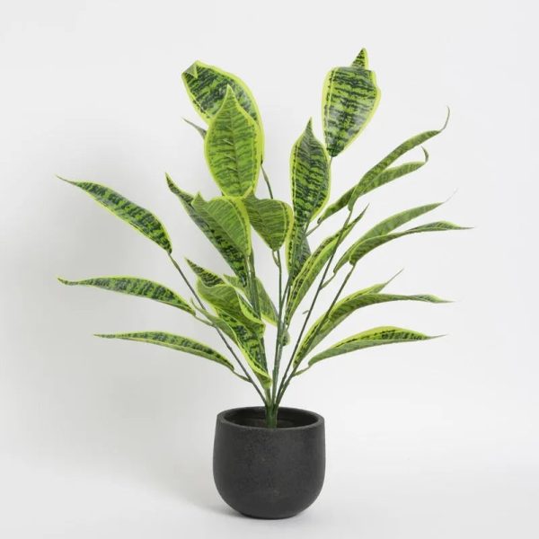 Artificial Iceton Snake Plant | 26 Leaves | 2.3 feet |Pot Not Included Sale