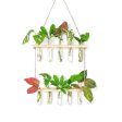 2 Tier Wall Hanging With 10 Test Tube Planters on Sale