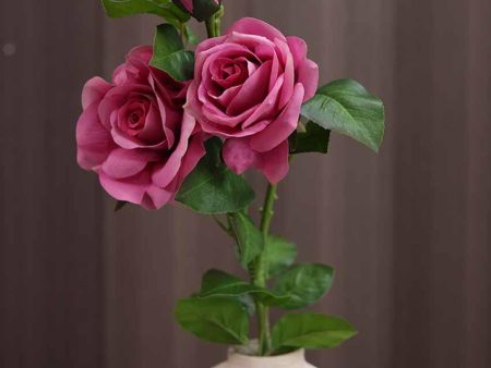 Andrea Silicone Rose Artificial Flower | 2.5 feet | Vase Not Included For Cheap