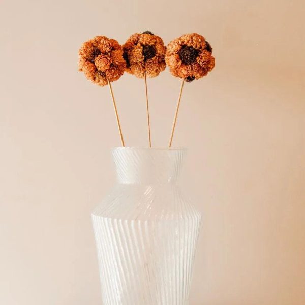 Sola Balls White | Set Of 3 | 2.3 feet| Vase Not Included on Sale